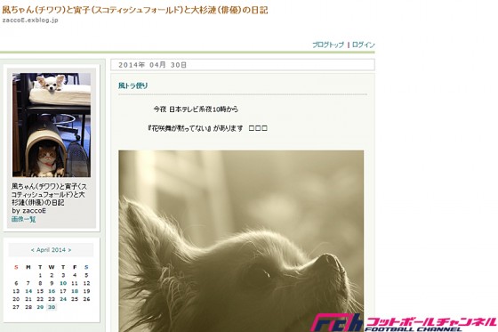 大杉漣さんも歓喜！　徳島がJ1初勝利