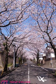 2015年の君たちは――。東京ヴェルディユース、花の92年組を追って:最終回 離れていても、近くにいる