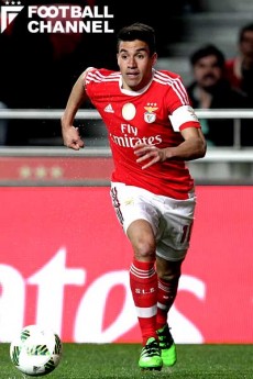 ニコラス・ガイタン