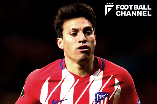 ニコラス・ガイタン