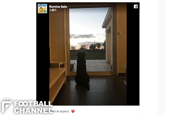 エミリアーノ・サラの帰りを待つ愛犬ナラ【写真：アルゼンチンメディア『cuatro』のスクリーンショット】