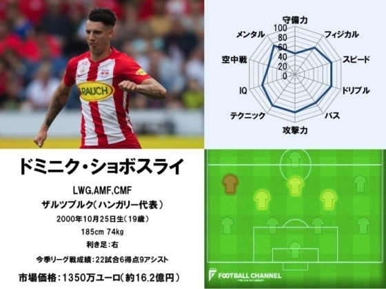 ドミニク・ショボスライ