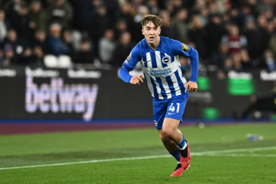 ヒンシェルウッド