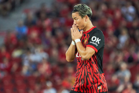 8d688199d14daecc65d97e36f3c610