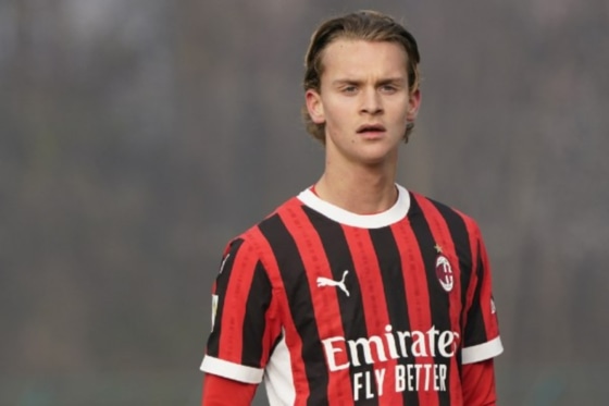 マキシミリアン・イブラヒモビッチ