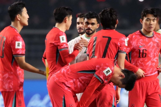 韓国代表 NIKE 韓国代表 2024 ユニフォーム ホーム 半袖 レプリカ #7