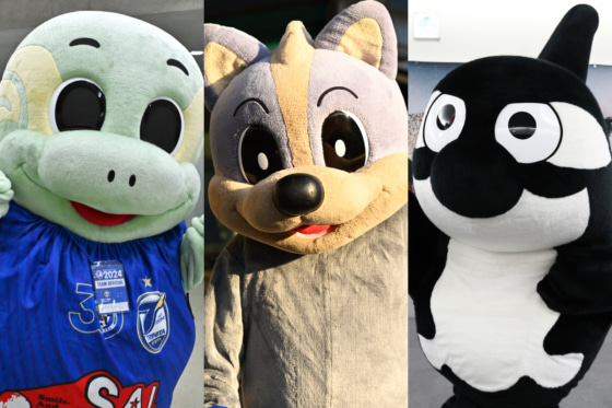 最終値下げ Jリーグ マスコット まとめ売り 最終値下げ Jリーグ マスコット ぬいぐるみ まとめ売り - メルカリ