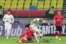 サンフレッチェ広島