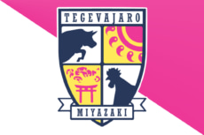 テゲバジャーロ宮崎